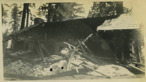 Grant Studio after damage from fallen tree ?