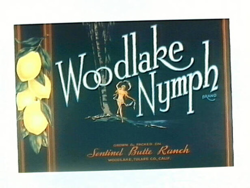 Woodlake Nymph Brand