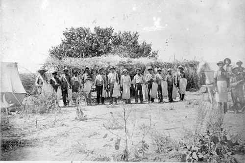 Manuel D. Sousa Wool Shearing Crew, Coalinga, Calif., 1910