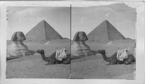 Sphinx and Pyramid Gizeh, Egypt