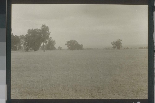 Stubble field Allotment 83, August 1918, #54