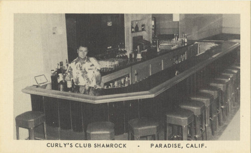 Curly's Club Shamrock