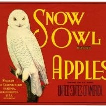 Snow Owl Brand
