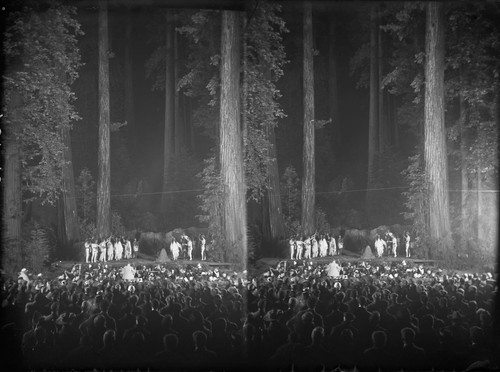 Open-air theatrical production, showing audience, Bohemian Grove. [negative]