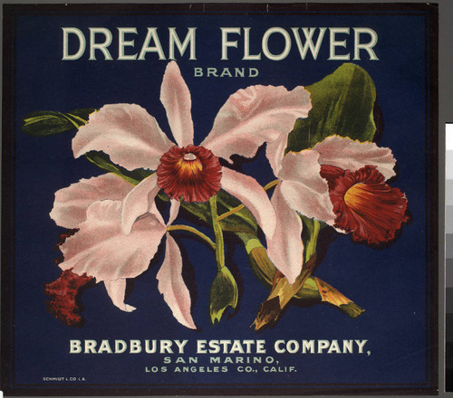 Dream flower brand