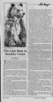Last bear in Boulder Creek