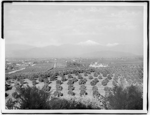 General view of Redlands, California, from Smiley Heights, ca.1900