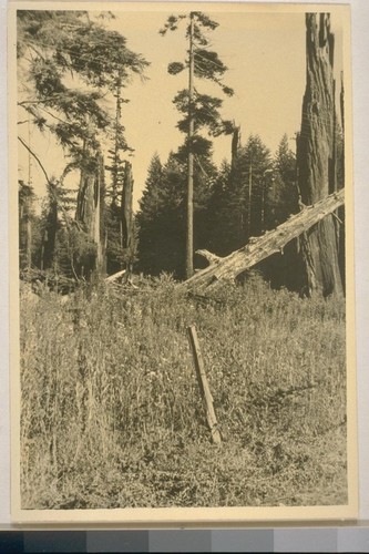 Athapascan territory; Smith River, Calif. July 1934