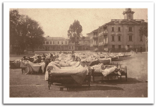 Sleeping Out in "the Yard, " April 19, 1906