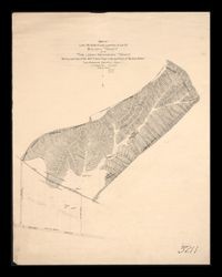 Map of lots 28, 29, 30, 31 and a portion of lot 27, Baugh Tract and the John Kennedy Tract in the partition of Rancho San Rafael, Los Angeles County, June 1909