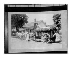 Noonan Meat Company float in the Rose Parade, Santa Rosa, California, circa1910?]