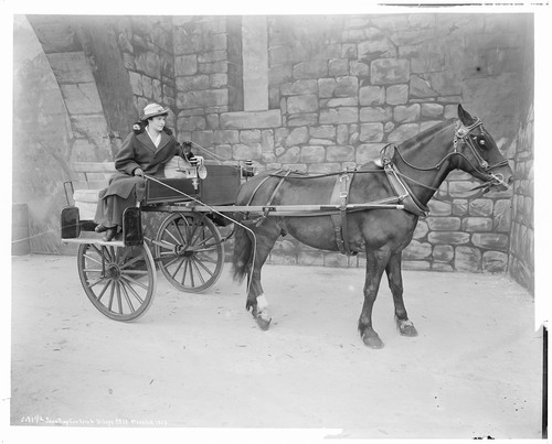 Irish Village. [Horse and cart, with woman in cart.]