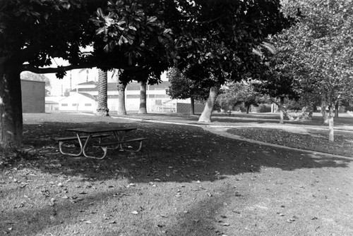 1973 - Olive Park