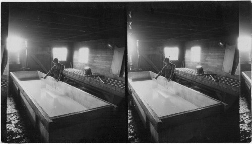 Making Limburger Cheese - About 2200lbs. of milk heated by steam going thru pipes placed in water at bottom of this vat, (90º of heat) after about 2 1 /4 hours that milk is placed in vat. Curd is taken out - (see neg.#7) 3 ounces of------per each 1000 lb. of milk is mixed in milk - this amount of milk makes about 230 lbs. of cheese. This view shows operator separating the mixture. New York State. Rome(?)