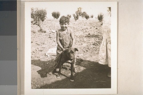 Mrs. Ida Starkey and family; Auburn Reservation; 2 July 1936; 19 prints, 19 negatives