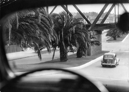 [View from inside a car traveling on Dolores Street]