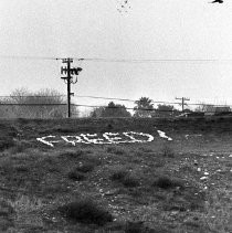 "Freed!" Message Appears on Levee in Sacramento