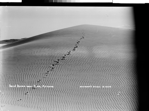 Sand Dunes near Yuma, Arizona