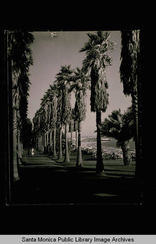 Palisades Park, Santa Monica, Calif