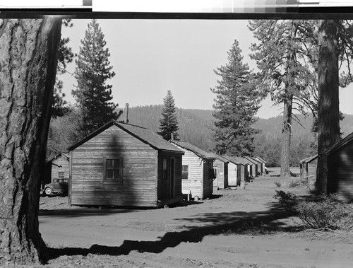 Logging Camp