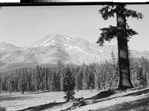 Mt. Shasta, Calif