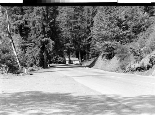 Along the Redwood Highway, Calif