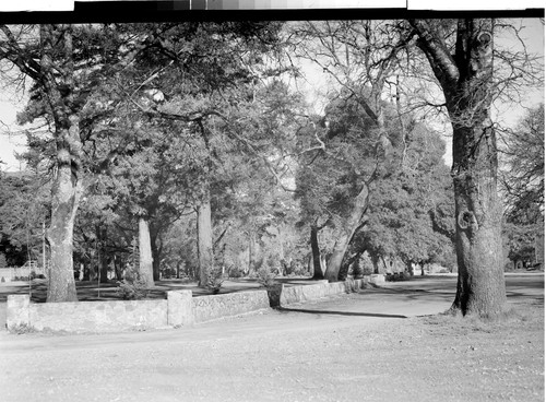 The City Park, Ukiah, Calif