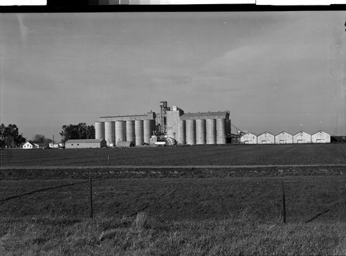 Rice Dryer in Sacramento Valley, Calif