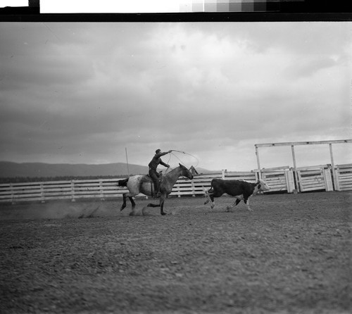 Roping pictures