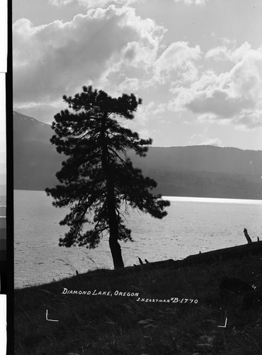 Diamond Lake, Oregon