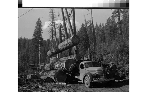 Logging truck