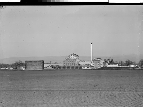 Holly Sugar Plant, Hamilton City, Calif