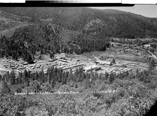 Quincy Lumber Co. Mill at Quincy, Calif