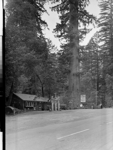 Lilley Park On the Redwood Highway, Calif