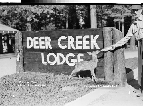 Feeding Time - Mill Creek, Calif