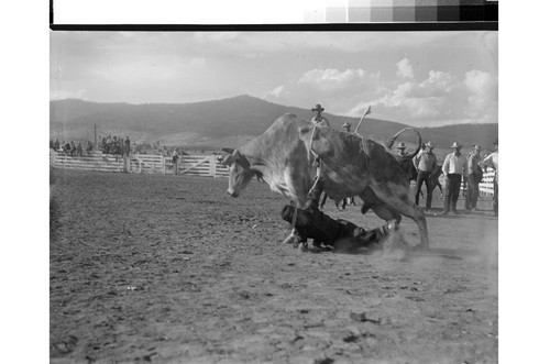 Rodeo Action Shots