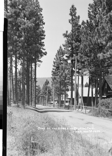 "Some of the Homes at Calpine, Calif