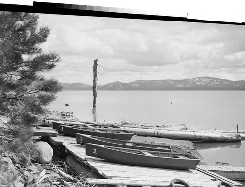 At Big Springs Camp, Lake Almanor, Calif