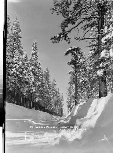 On Lassen Volcanic Highway, Calif