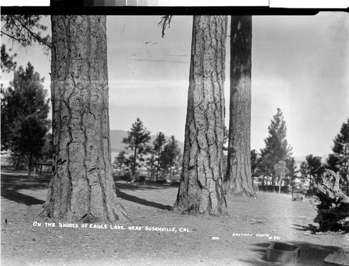 On the Shores of Eagle Lake. Near Susanville, Cal