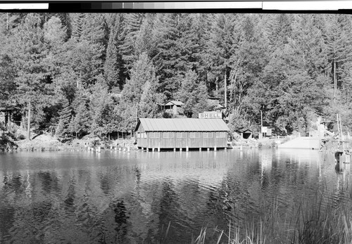 Lake Madrone, Calif