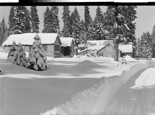 Plumas Pines, Almanor, Calif