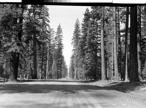 Lassen Volcanic Highway Susanville-Westwood Highway, Calif