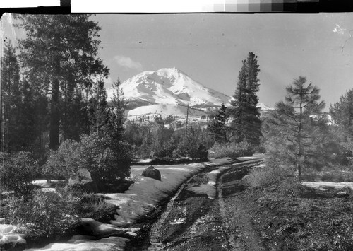 Mt. Shasta, California