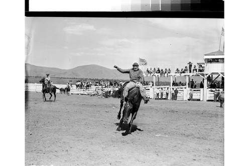 Rodeo Action Shots