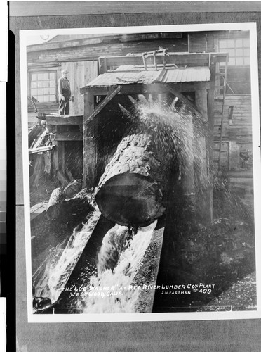 The "Log Washer" at Red River Lumber Co.'s plant Westwood, Calif