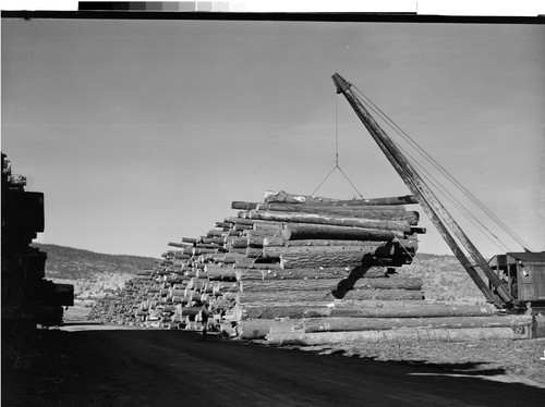 Log Deck at Susanville, Calif