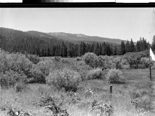 Mohawk Valley Guest Ranch, Clio, Calif