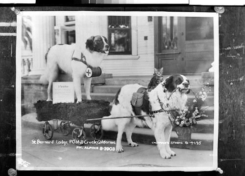 St. Bernard Lodge, P.O. Mill Creek, California