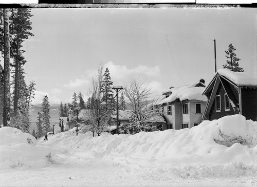 Unused Negatives of Westwood in Winter